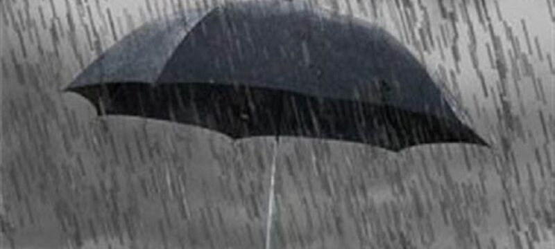 53a81d5a3d444a9f687474758cbbe37a.2e16d0ba.fill-1600×900