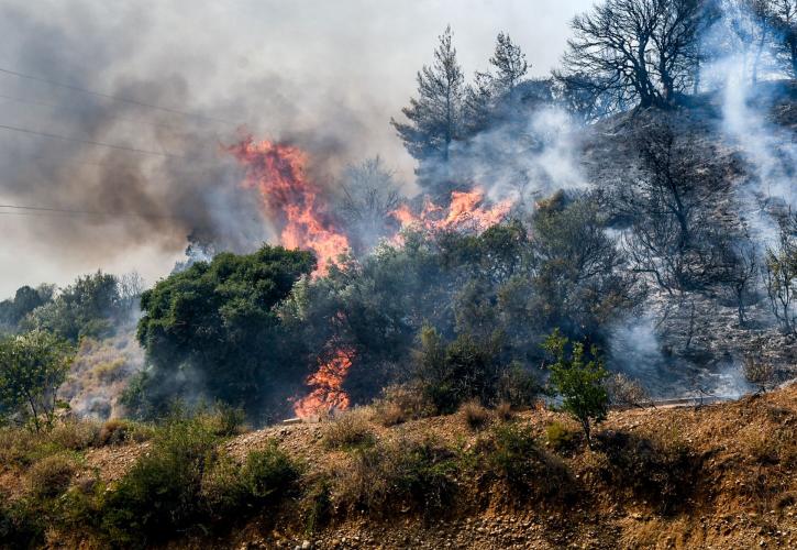 Ιωάννου: Ενισχύεται η επιχειρησιακή ικανότητα για αντιμετώπιση πυρκαγιών