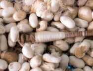 647048203_2009042610018439_1755299013565248964_n