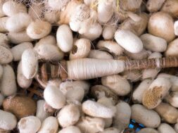 647048203_2009042610018439_1755299013565248964_n