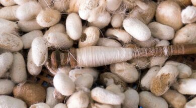 647048203_2009042610018439_1755299013565248964_n