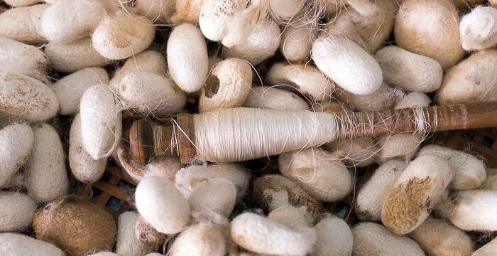 647048203_2009042610018439_1755299013565248964_n