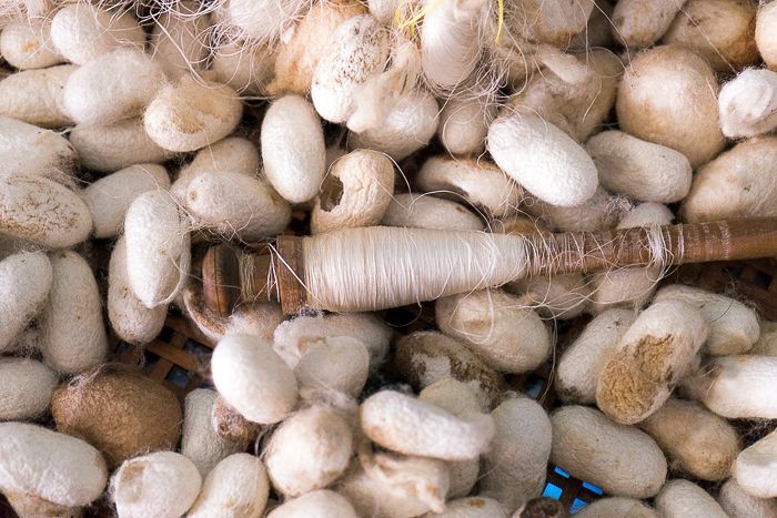 Το 2ο Φεστιβάλ Μεταξιού γιορτάζει στην Καλαβασό «Το Ταξίδι του Μεταξιού: Από την Κίνα στην Κύπρο»