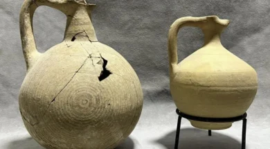 649357979_1362420965931501_1025844507616332018_n (1)