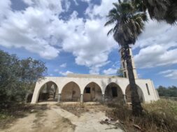 667398552_10236084809395155_482419743801547090_n