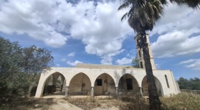 667398552_10236084809395155_482419743801547090_n