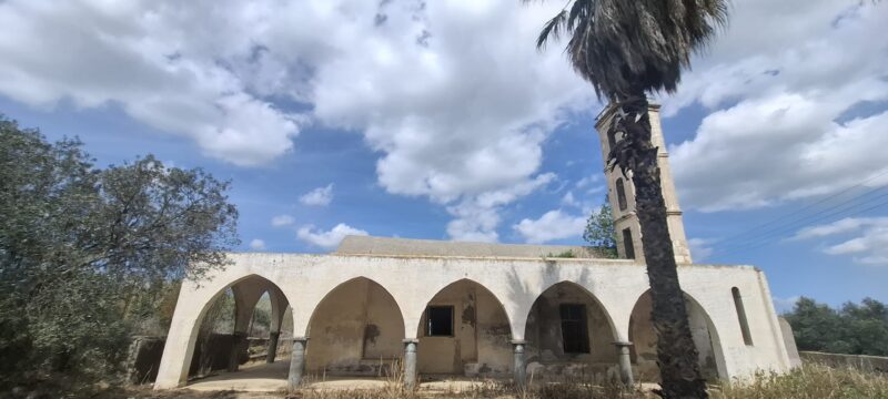 667398552_10236084809395155_482419743801547090_n