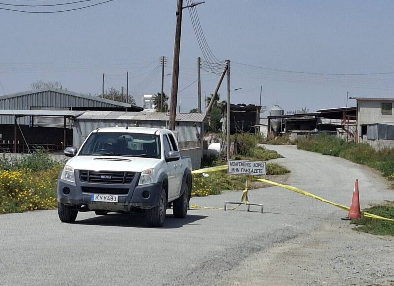 670915100_3516799275145424_4183752410983665529_n