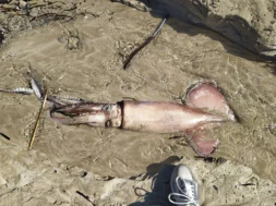 674212789_10164296160749173_608425575729788389_n_1