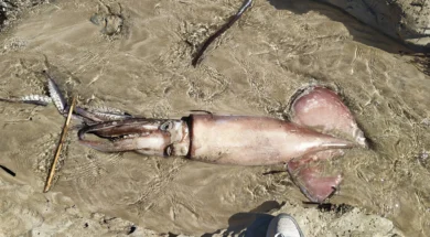 674212789_10164296160749173_608425575729788389_n_1