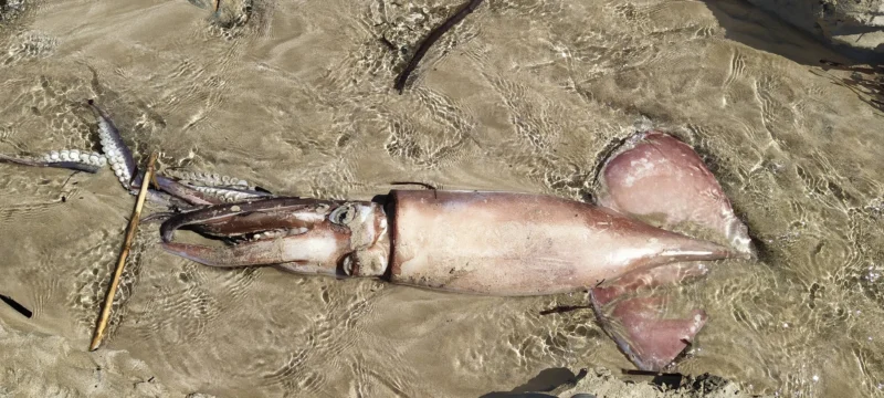 674212789_10164296160749173_608425575729788389_n_1