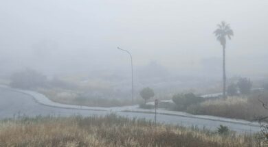 678795567_939470365530939_4433502949962690917_n_1777433635