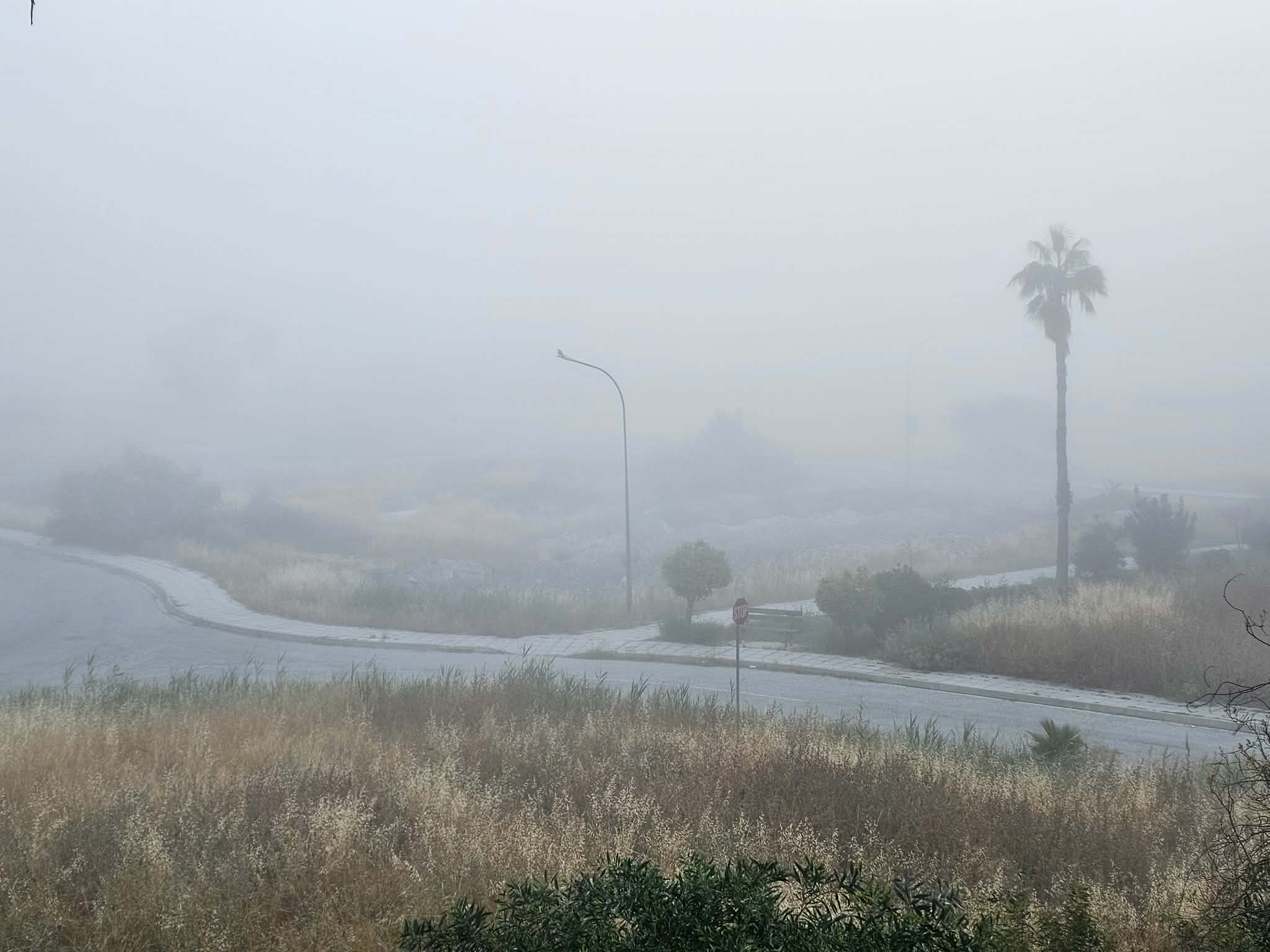 Πέπλο ομίχλης «σκέπασε» τη Λευκωσία   (φώτο)