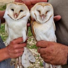 679649899_4416424111939485_7740199171696124837_n (1)