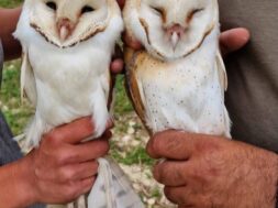 679649899_4416424111939485_7740199171696124837_n (1)