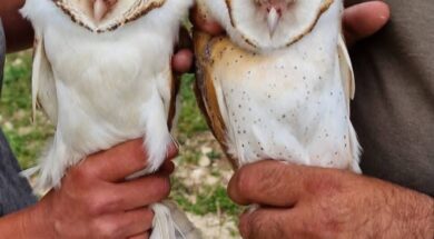 679649899_4416424111939485_7740199171696124837_n (1)