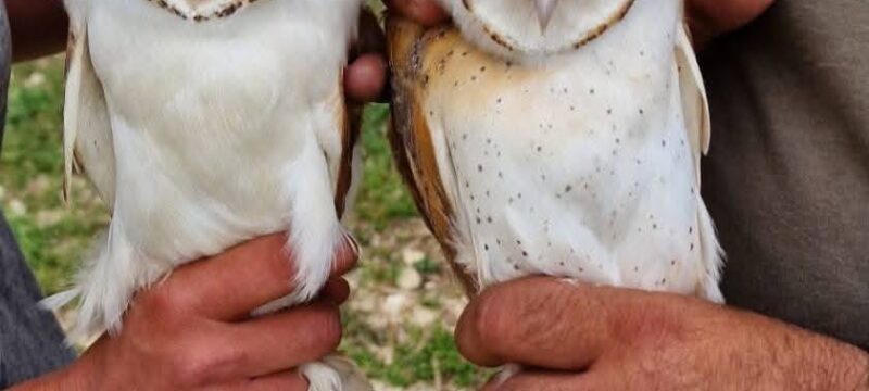 679649899_4416424111939485_7740199171696124837_n (1)