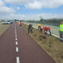 681395239_1268626782116435_354379040391074404_n