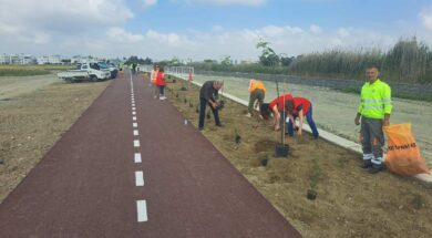 681395239_1268626782116435_354379040391074404_n