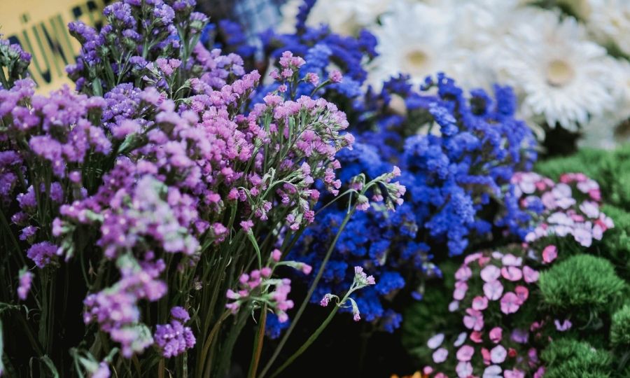 Αναβίωση γιορτής του Πορτοκαλιού και Ανθεστηρίων Αμμοχώστου