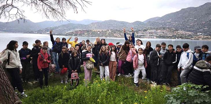 72-0.A DIMOTIKO-XILOFAGU-KRITI