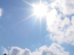 81e2297d-fb96-45e5-8ee6-729a66d079c2.width-750 (1)