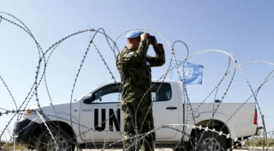 821240-large_thumbnail