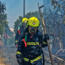 89600125_2692732254279123_5832860059515748352_n