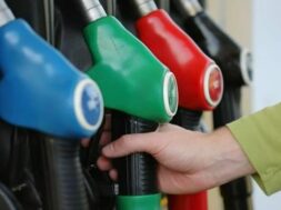 9a463324-0dc4-4748-955d-5414ed37c7ee_pratirio1