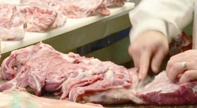 ESO-TRAPEZI-1-1200×480