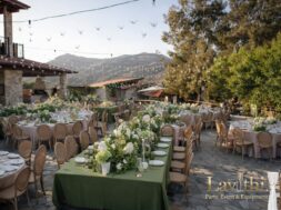 WhatsApp Image 2026-04-17 at 11.51.03