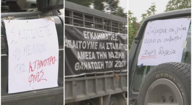 afthodis-diamartiries-09