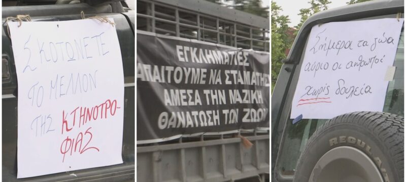 afthodis-diamartiries-09