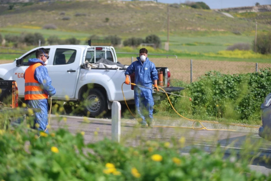 Αφθώδης πυρετός: Στις 101 οι μολυσμένες μονάδες – Κρούσμα και σε δεύτερο χοιροστάσιο