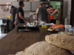 agia-skepi-psomia (1)