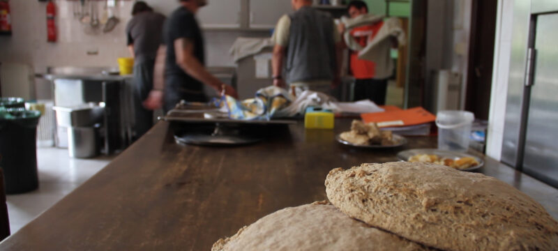 agia-skepi-psomia (1)