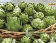 artichokes_b
