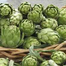 artichokes_b