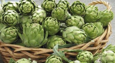 artichokes_b