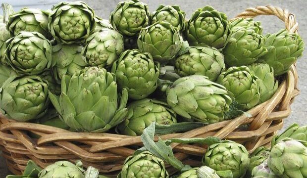 artichokes_b