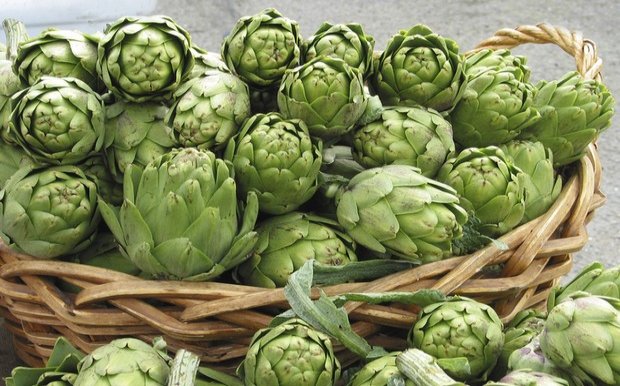 Το Κίτι ετοιμάζεται για το 7ο Φεστιβάλ Αγκινάρας