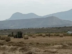 avlwna_26_4_3_e1777215165432_696x485