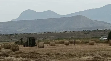 avlwna_26_4_3_e1777215165432_696x485