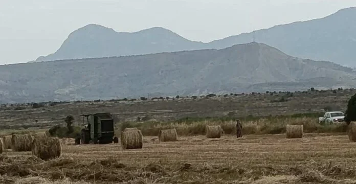 avlwna_26_4_3_e1777215165432_696x485