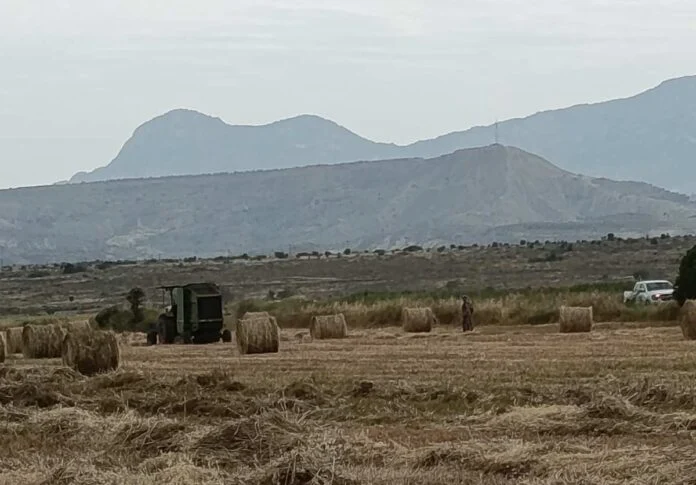 Τούρκοι μπήκαν ξανά στην «παγωμένη περιοχή» της νεκρής ζώνης Αυλώνας   (φώτο)