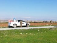 cache_1300x500_Analog_medium_703815_162812_26_04_19_132442