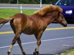 cache_1500x3000_analog_medium_602160_126102_29102018