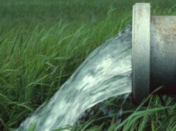 cache_1920x1080_Crop_high_2569262_184571_03022022121824