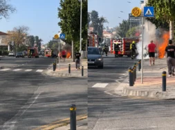 chatgpt_image_apr_30_2026_09_21_40_am