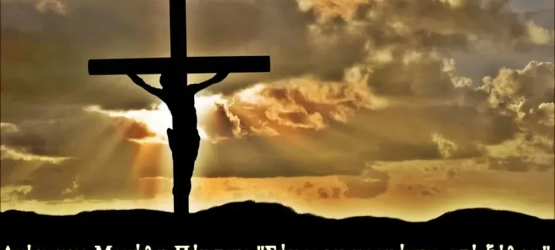 d8b2354634a6b0b71e004b239718f50b (1)